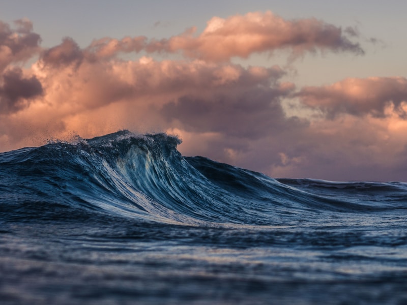 نظام بقالة المنصورة ومصر - Syntax Room